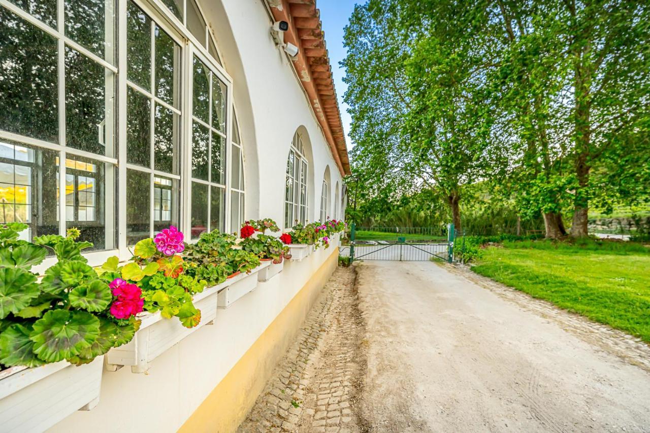 リスボン Quinta Do Boicaoヴィラ エクステリア 写真