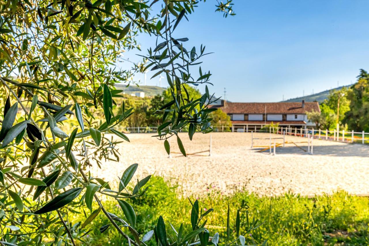 リスボン Quinta Do Boicaoヴィラ エクステリア 写真