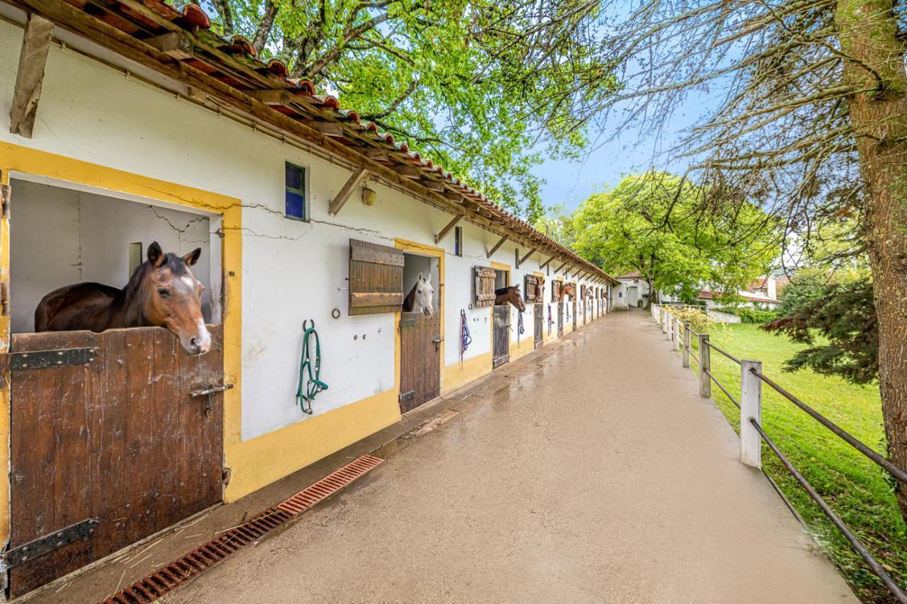 リスボン Quinta Do Boicaoヴィラ エクステリア 写真