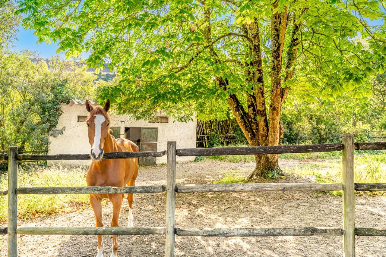 リスボン Quinta Do Boicaoヴィラ エクステリア 写真