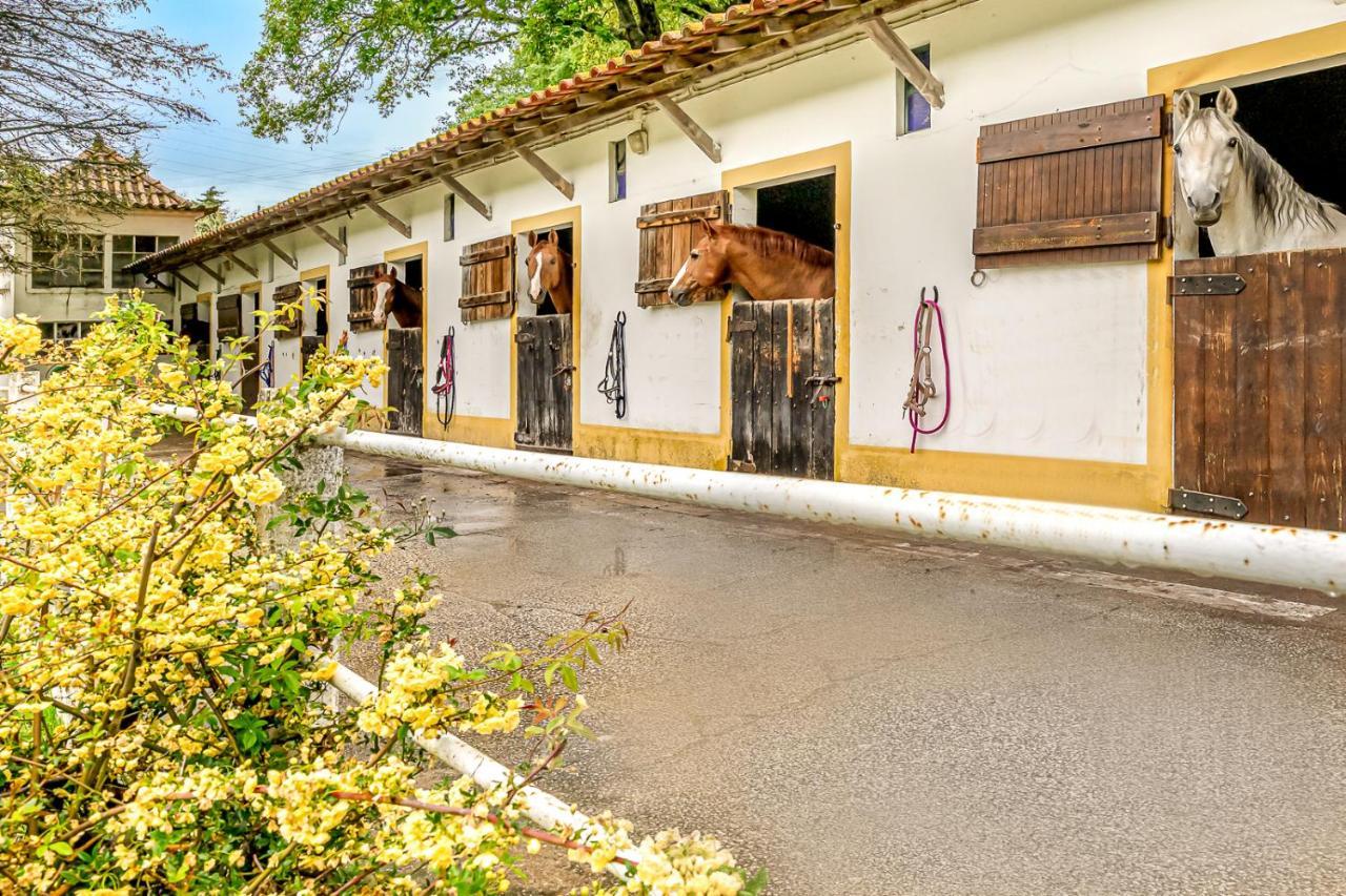 リスボン Quinta Do Boicaoヴィラ エクステリア 写真